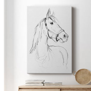 Bridle Portraits II - Canvas Art Print