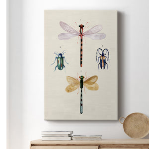 Insect Varieties I - Canvas Art Print