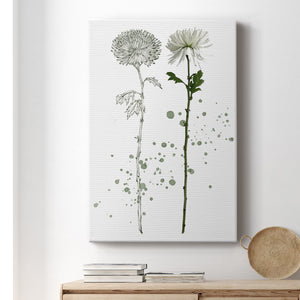 Botany Flower IV Premium Gallery Wrapped Canvas - Ready to Hang