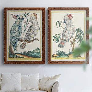 Pastel Birds I - Premium Framed Canvas 2 Piece Set - Ready to Hang