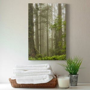 Summer Forest II Premium Gallery Wrapped Canvas - Ready to Hang