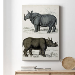 Journal of Natural History IX - Canvas Art Print