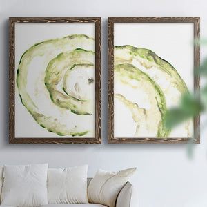 Lichen Halo V - Barnwood Framed Canvas Set