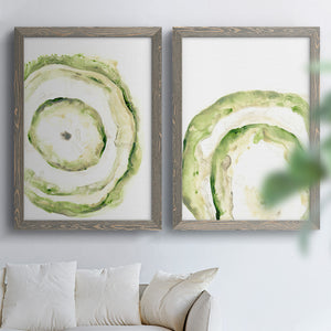 Lichen Halo III - Barnwood Framed Canvas Set