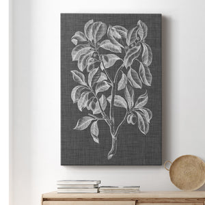 Graphic Foliage I Premium Gallery Wrapped Canvas - Ready to Hang