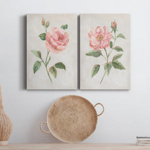 Grandiflora I Premium Gallery Wrapped Canvas - Ready to Hang