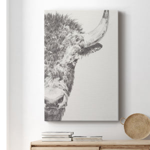 Graphite Bison Portrait II - Canvas Art Print