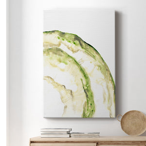 Lichen Halo VI - Canvas Art Print