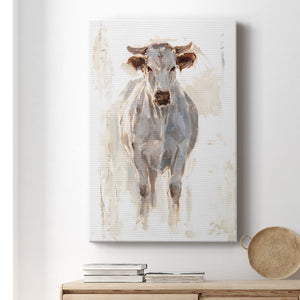 Sunlit Cows I - Canvas Art Print
