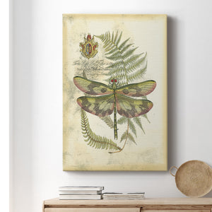 Regal Dragonfly IV (PP)  - Canvas Art Print