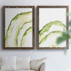 Lichen Halo I - Barnwood Framed Canvas Set