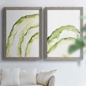 Lichen Halo I - Barnwood Framed Canvas Set