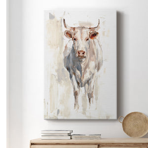 Sunlit Cows II - Canvas Art Print