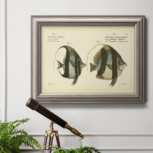 Bloch Antique Fish II Premium Framed Canvas- Ready to Hang