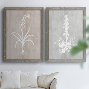 Botany Beauty I - Premium Framed Canvas 2 Piece Set - Ready to Hang