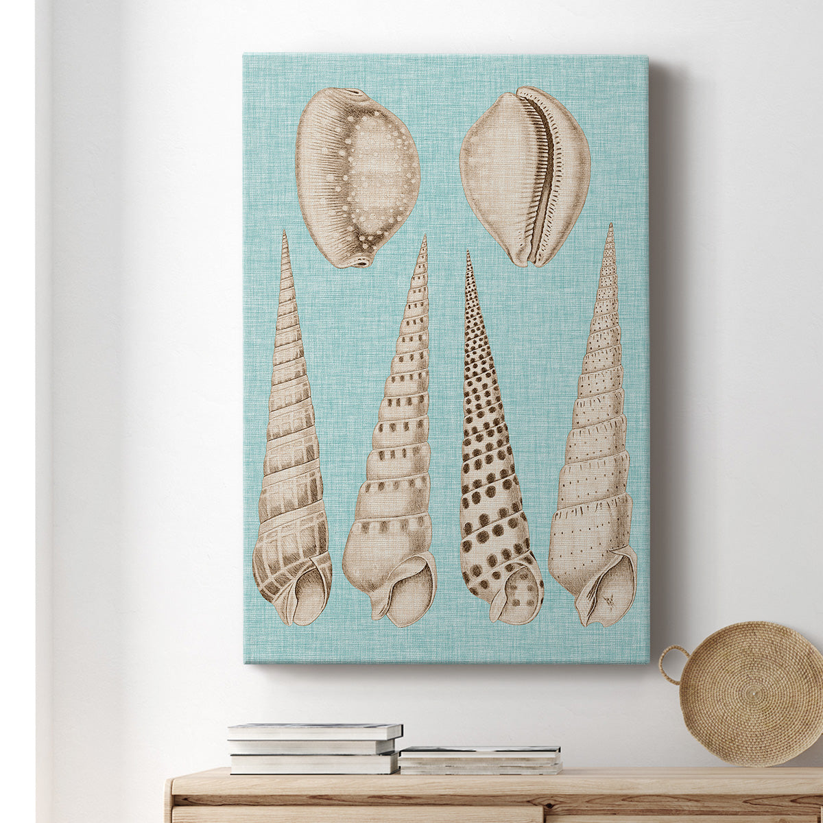 Sepia & Aqua Shells VI Premium Gallery Wrapped Canvas - Ready to Hang