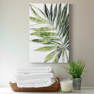 Expressive Palm IV Premium Gallery Wrapped Canvas - Ready to Hang