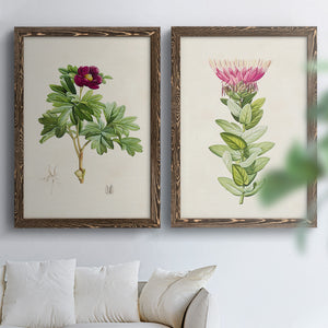 Pretty Pink Botanicals III - Premium Framed Canvas 2 Piece Set - Ready to Hang