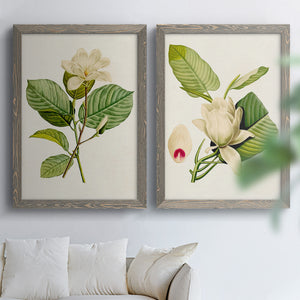 Magnolia Flowers I - Premium Framed Canvas 2 Piece Set - Ready to Hang