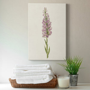 Mauve Garden Flowers I Premium Gallery Wrapped Canvas - Ready to Hang