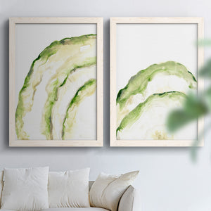 Lichen Halo I - Barnwood Framed Canvas Set