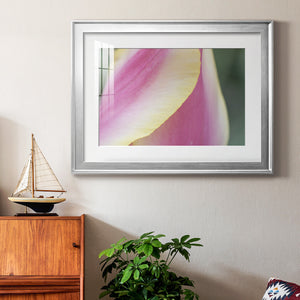 Delicate - Modern Framed Art Print