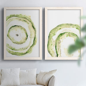 Lichen Halo III - Barnwood Framed Canvas Set