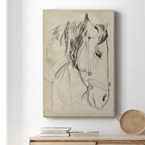 Horse in Bridle Sketch I - Canvas Art Print