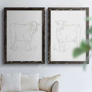 Limousin Cattle I - Barnwood Framed Canvas Set