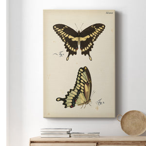 Butterfly Profile I - Canvas Art Print