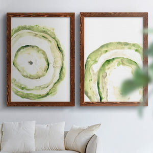Lichen Halo III - Barnwood Framed Canvas Set