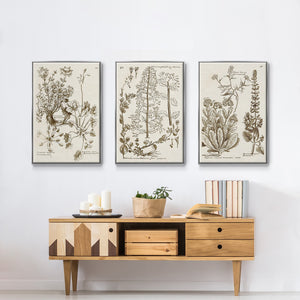 Sepia Botanical Journal IV - Framed Premium Gallery Wrapped Canvas L Frame 3 Piece Set - Ready to Hang