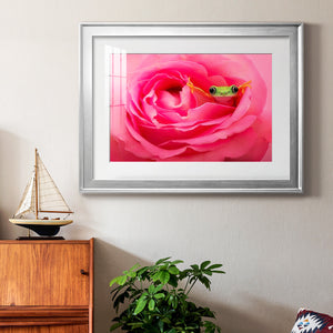 Hanging On VIII - Modern Framed Art Print