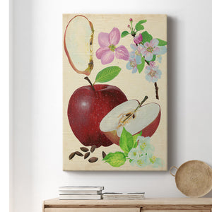Apple & Blossom Study I Premium Gallery Wrapped Canvas - Ready to Hang