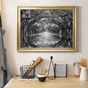 Oak Alley Reflection Premium Classic Framed Canvas - Ready to Hang