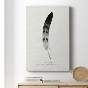 Found Feather I - Canvas Art Print