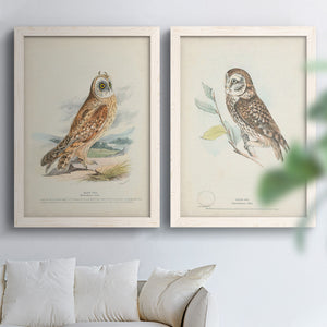 Hawk Owl - Premium Framed Canvas 2 Piece Set - Ready to Hang
