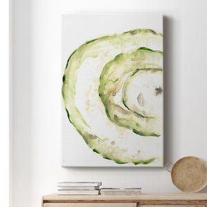 Lichen Halo V - Canvas Art Print