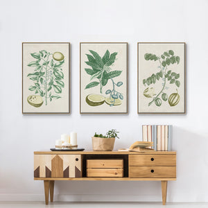 Buchoz Tropicals II - Framed Premium Gallery Wrapped Canvas L Frame 3 Piece Set - Ready to Hang