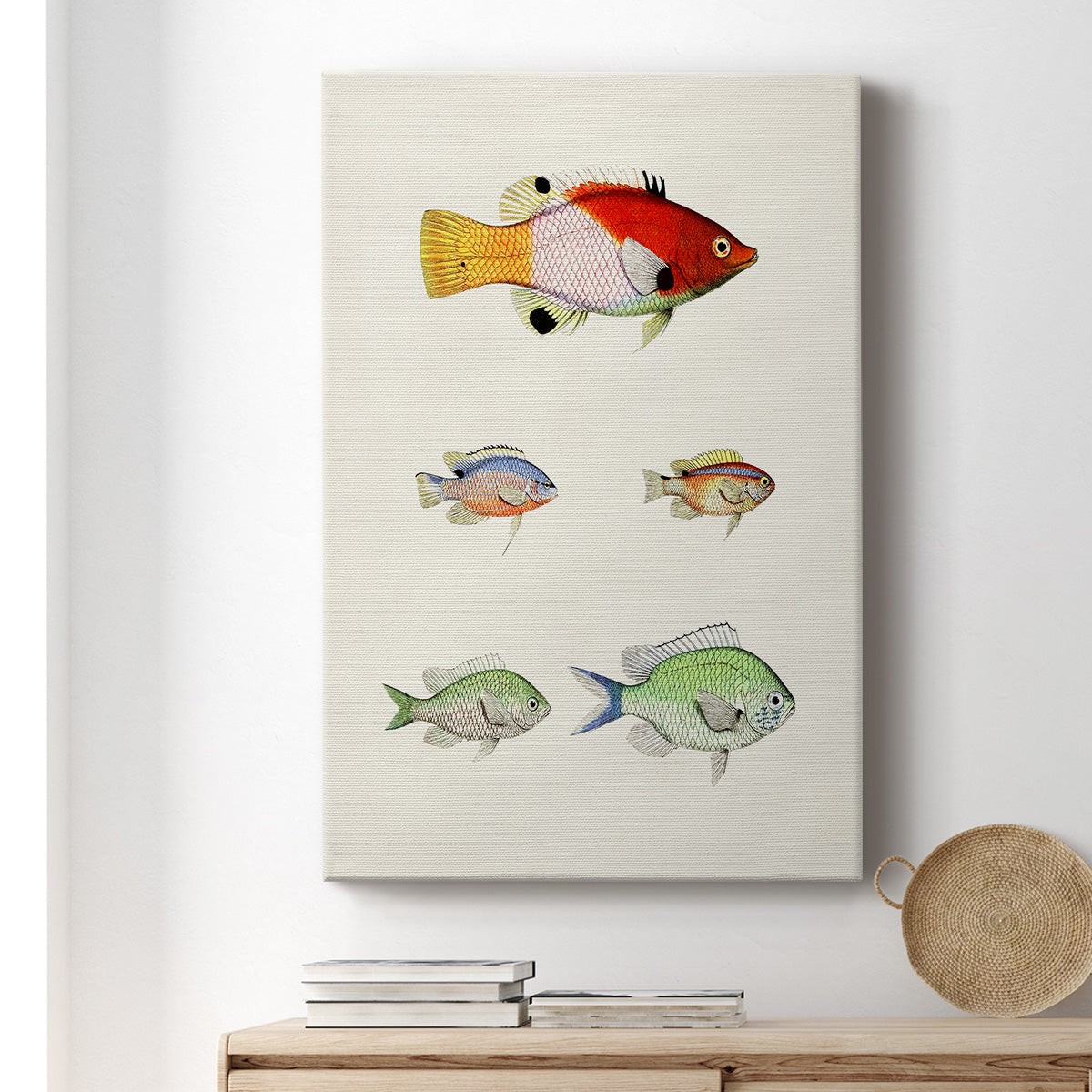 Colorful Tropical Fish I Premium Gallery Wrapped Canvas - Ready to Hang