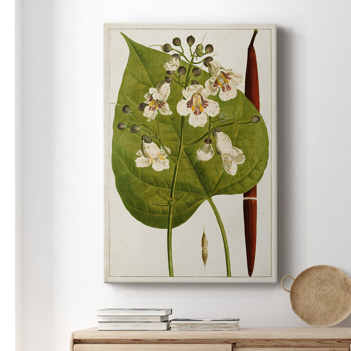Antique Flowering Trees V Premium Gallery Wrapped Canvas - Ready to Hang