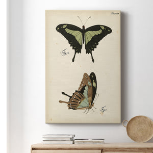 Butterfly Profile III - Canvas Art Print