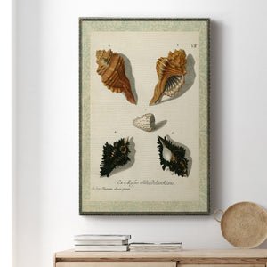Bookplate Shells I Premium Gallery Wrapped Canvas - Ready to Hang