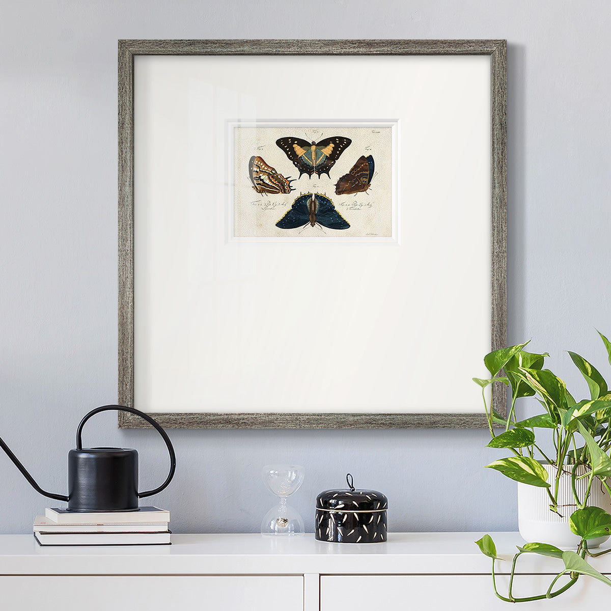 Crackled Butterflies IV Premium Framed Print Double Matboard