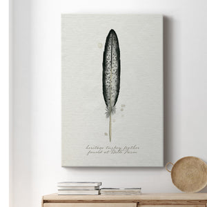 Found Feather II - Canvas Art Print