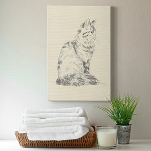 House Cat VI Premium Gallery Wrapped Canvas - Ready to Hang