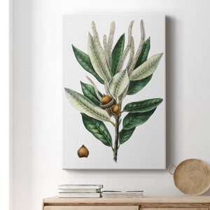 Dense Flowered Oak Premium Gallery Wrapped Canvas - Ready to Hang