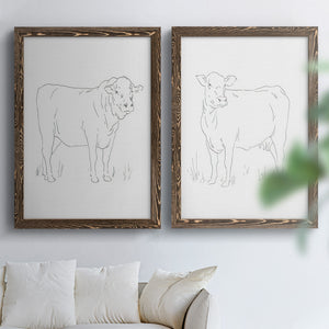 Limousin Cattle I - Barnwood Framed Canvas Set