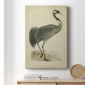 Morris Crane I - Canvas Art Print