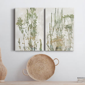 Untamed Garden I Premium Gallery Wrapped Canvas - Ready to Hang